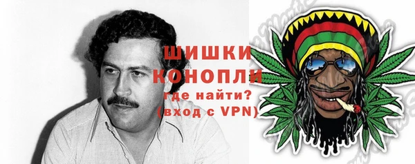 Альфа ПВП Аркадак