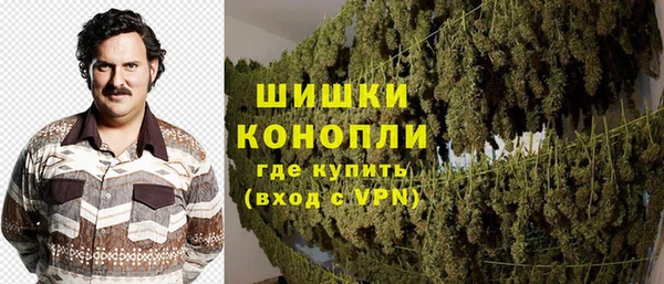 Альфа ПВП Аркадак
